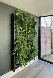 Plant Walls